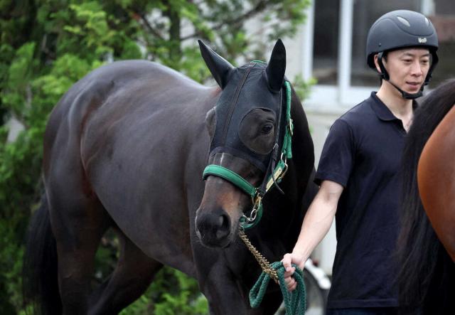 【オークス】(1)アルマヴェローチェ　道悪も心配なし　上村師「追い切った後の雰囲気はいい」