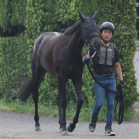 【オークス】(4)アイサンサン　抽選突破で波乱呼ぶ!佐々木師「最高の枠や!!」