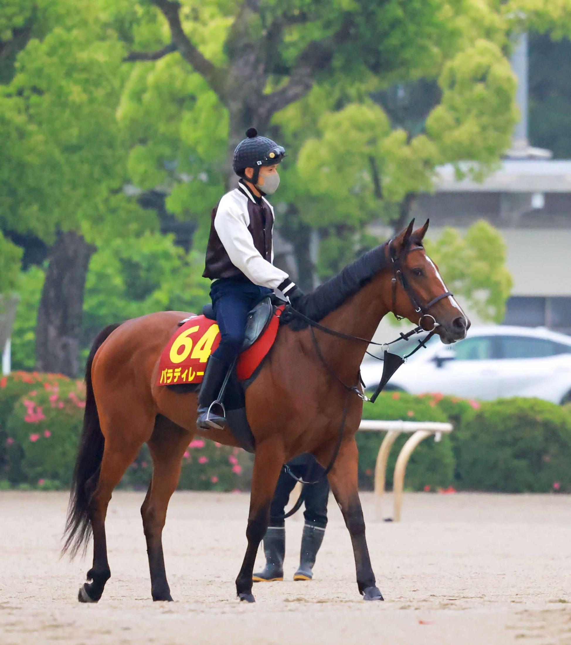 【オークス】パラディレーヌ　１２年ぶり追加登録馬Ｖだ　未勝利Ｖ後「オークス」支払い前から意識