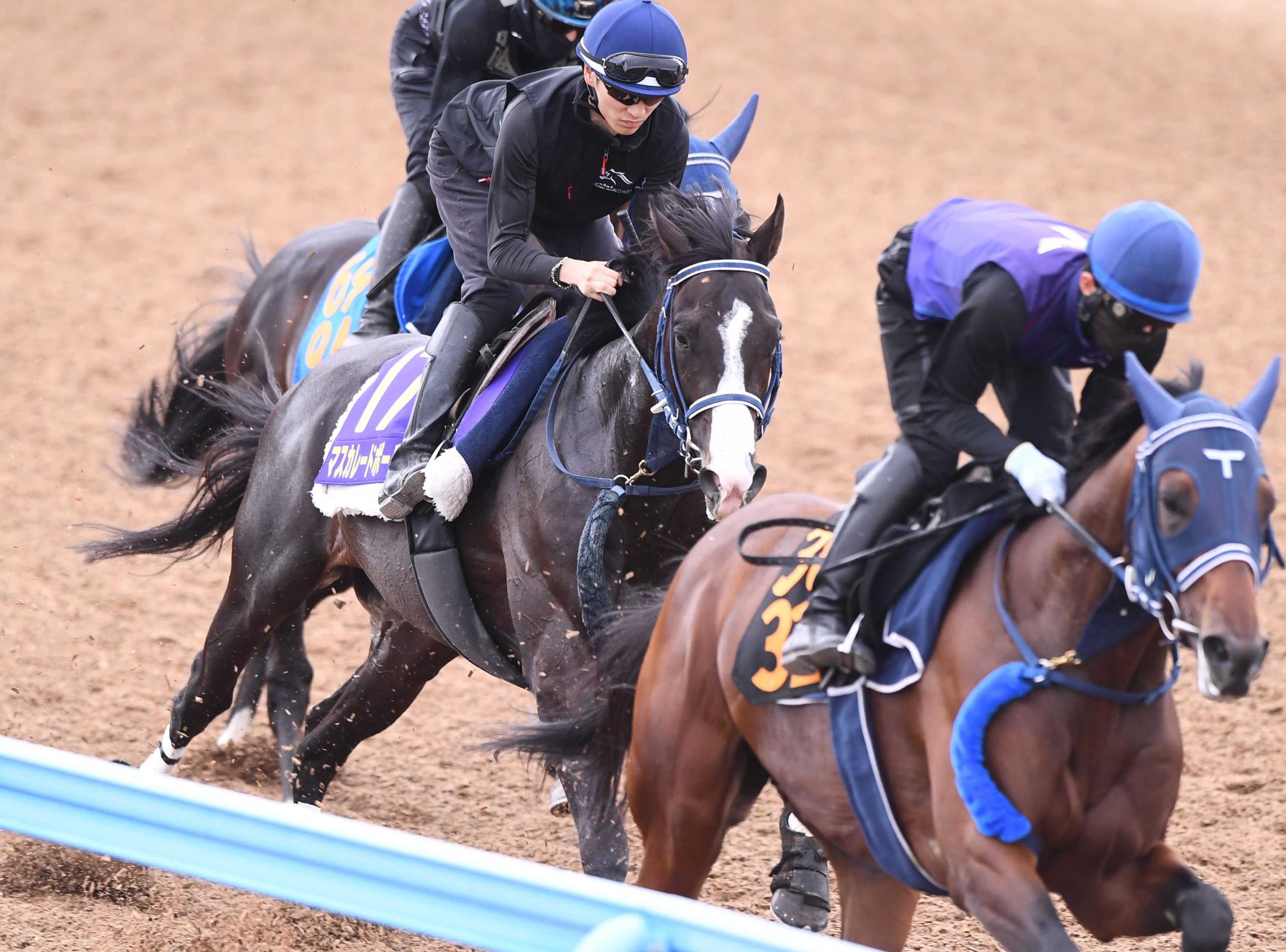 【日本ダービー】マスカレードボール　折り合いＯＫ　コンビ再結成坂井が騎乗「あとはテンション次第」