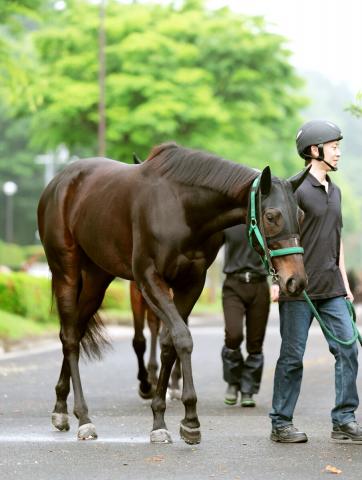 【オークス】鬼門の1枠1番に決まった2歳女王　渋い馬場なら任せろ!　実績で不吉データ吹き飛ばす