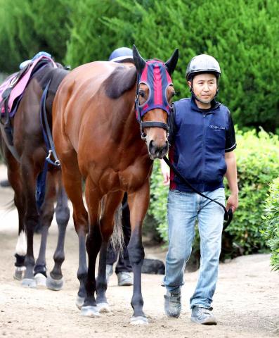 【オークス】桜花賞馬は歴代最多11勝の9番枠をゲット!　クラシック2冠へ絶好チャンス