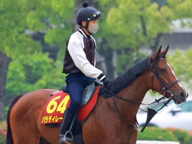 【オークス】パラディレーヌ　１２年ぶり追加登録馬Ｖだ　未勝利Ｖ後「オークス」支払い前から意識