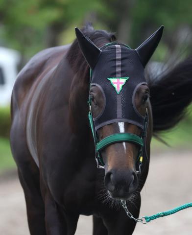 【オークス】桜花賞5着のエリカエクスプレスが反撃へ　大外18番枠に杉山晴調教師「中途半端よりはいい」