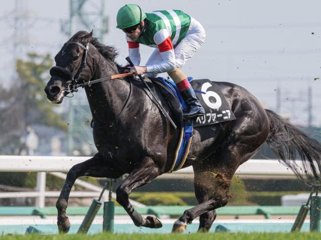 エフフォーリアのきょうだいが土曜東京に集結 3勝の固め打ちなるか