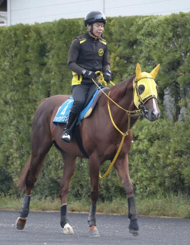 【平安S】浜中俊騎手のメイショウハリオは2枠4番　岩田望来騎手のブライアンセンスは4枠8番に　枠順決定