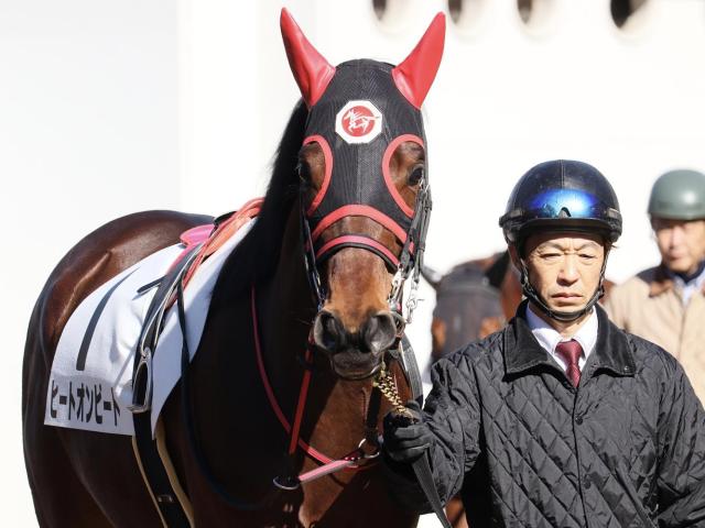 目黒記念覇者のヒートオンビート 障害オープン初勝利なるか