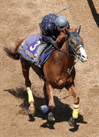 【注目馬動向】天皇賞・春4着のサンライズアースは夏休養　秋は京都大賞典から復帰予定
