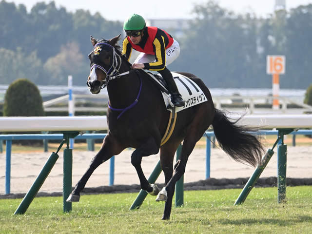 【オークス予想】樫の女王に輝くのはどの馬か 王道ローテで結果を残した馬に注目
