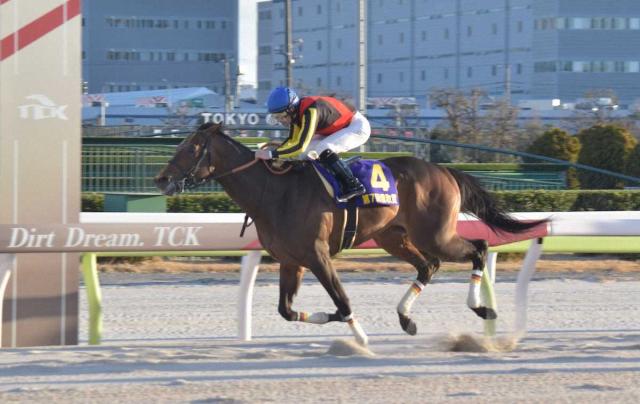 羽田盃3着ジャナドリア　東京ダービー回避　態勢が整わず…レパードSに照準