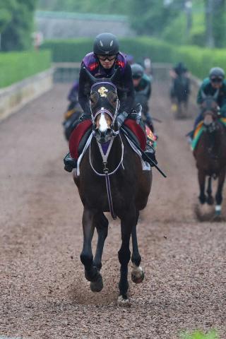 【オークス】リンクスティップ　成長一途　M・デムーロ舞台替わり歓迎「大跳びで広いコース合いそう」