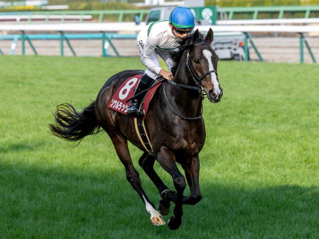 【安田記念想定馬・騎手】ソウルラッシュ、ジャンタルマンタルなど17頭