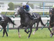 目黒記念2025に登録予定のアドマイヤテラ(ユーザー提供：酢酸さん)