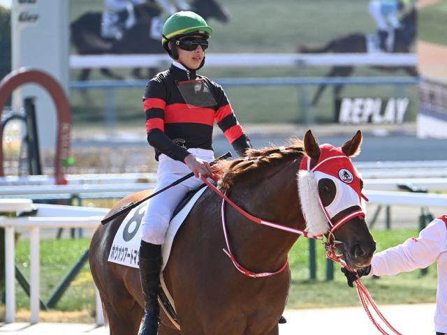 【POG】ホウオウアートマン馬場渋れば日本ダービーでも/馬三郎のつぶやき