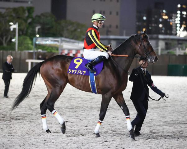 【注目馬動向】羽田盃3着のジャナドリアが東京ダービーを回避　今後はレパードSを目標に