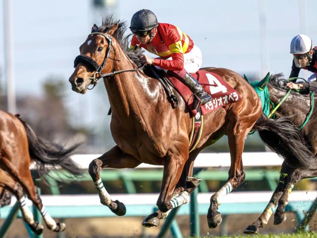 【有力馬動向】ファン投票1位ベラジオオペラ気配上々/馬三郎のつぶやき