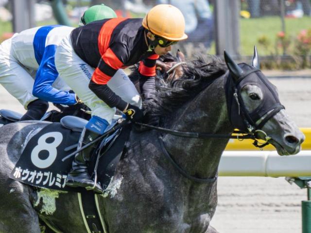 2.7億円の良血馬 ホウオウプレミアが約2年2カ月ぶりの勝利なるか