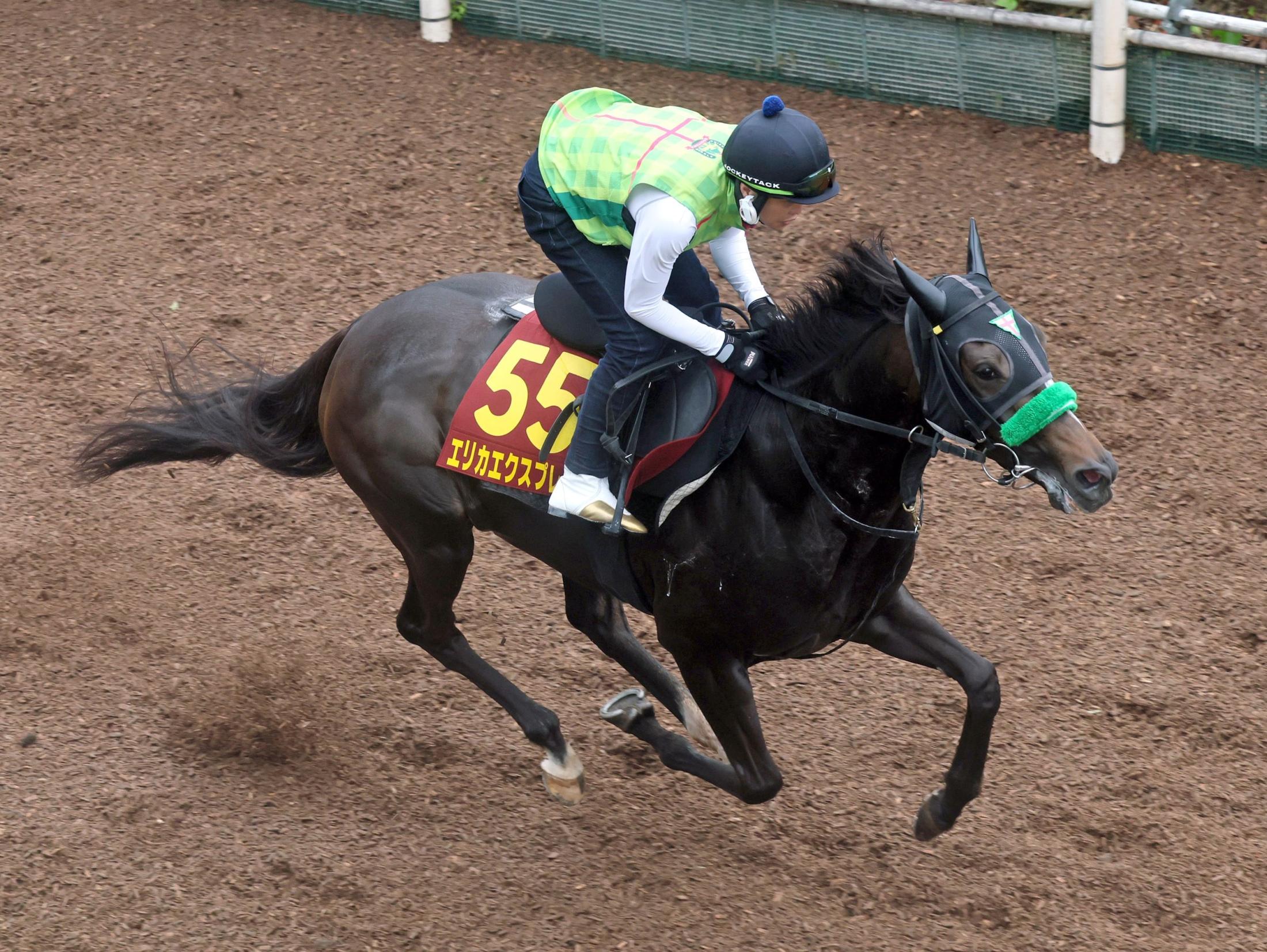 【オークス】エリカエクスプレス　大外もプラスに　杉山晴師「行く馬を見ながら行けるので」