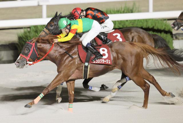 【高知競馬・福永洋一記念(25日)大恵陽子のイチオシ】高知2度目のエコロクラージュに期待　