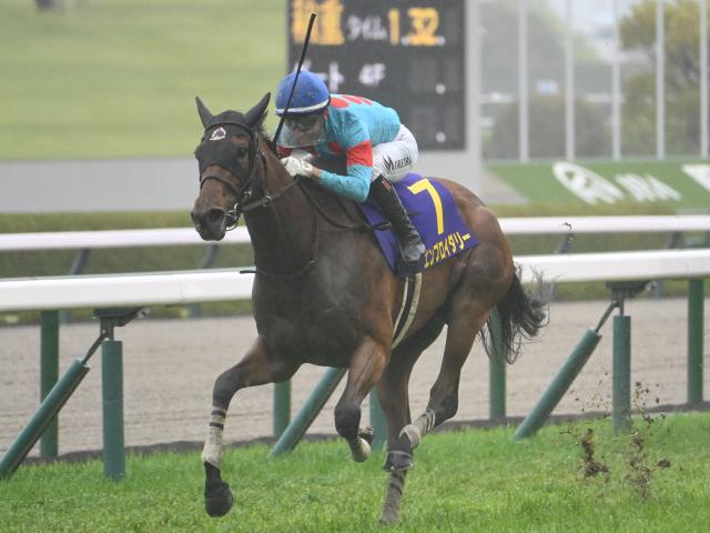 【AI予想・オークス】長いオークスの歴史の中でも輝きを放つ桜花賞馬！ 人工知能も牝馬二冠制覇に太鼓判