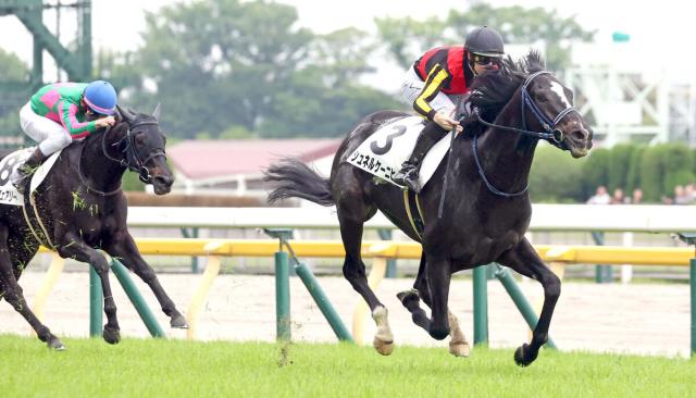 【東京5R・3歳未勝利】G1馬の半弟シュネルケーニヒが2戦目で初V　レーン騎手「単純に能力で勝てた」