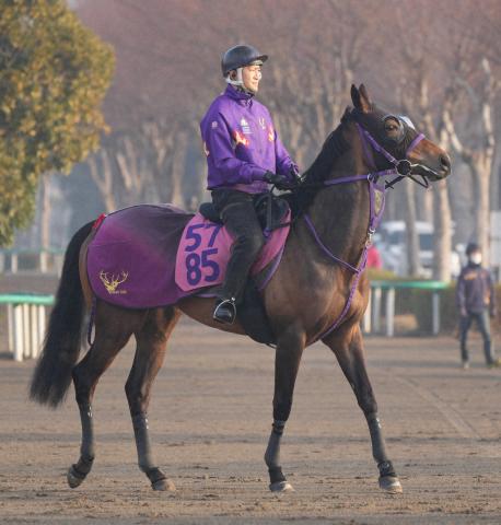 【カーネーションC】良血馬ジョスランが快勝　全兄にG13勝エフフォーリア