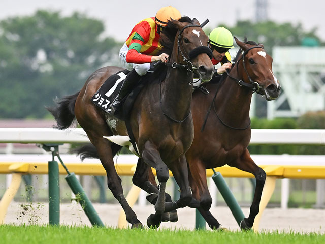 【カーネーションC結果】ジョスランが突き抜け快勝