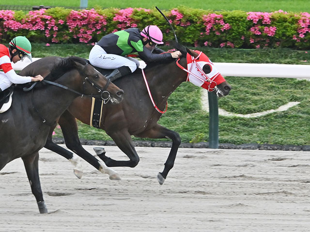【欅S結果】ビダーヤがダートで無傷の4連勝
