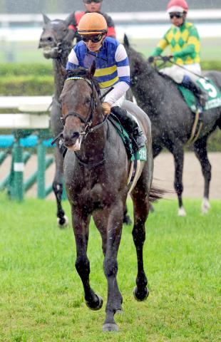 【平安S】ジンセイはこれから　ダート重賞初挑戦で4着　川田将雅騎手「重賞レベルで戦えると認識できました」