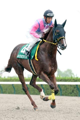 【平安S】G1級4勝のメイショウハリオは7着　後方から追い込めず浜中俊騎手「あの位置からでは…」