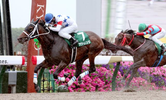 【平安S】アウトレンジが重賞2勝目「さらに上のステップで楽しみ」松山弘平騎手は連覇で同レース3勝目