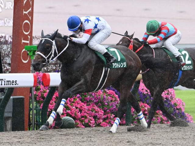 【平安S結果】アウトレンジが好位から抜け出し重賞2勝目