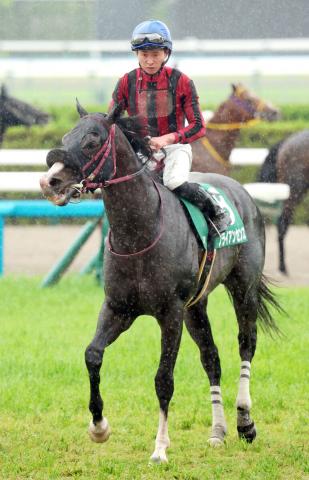 【平安S】ブライアンセンスは重賞連勝ならず9着　岩田望来騎手「展開がきつかったです」スローペースに泣く