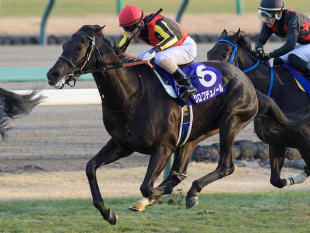 キタサンブラックも達成できず サクラバクシンオーの血が入った馬が日本ダービー勝利なら史上初