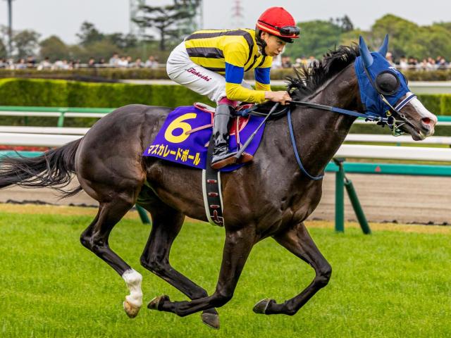 ついに今年生まれるか 史上初の父仔3代日本ダービー制覇へ8頭が出走
