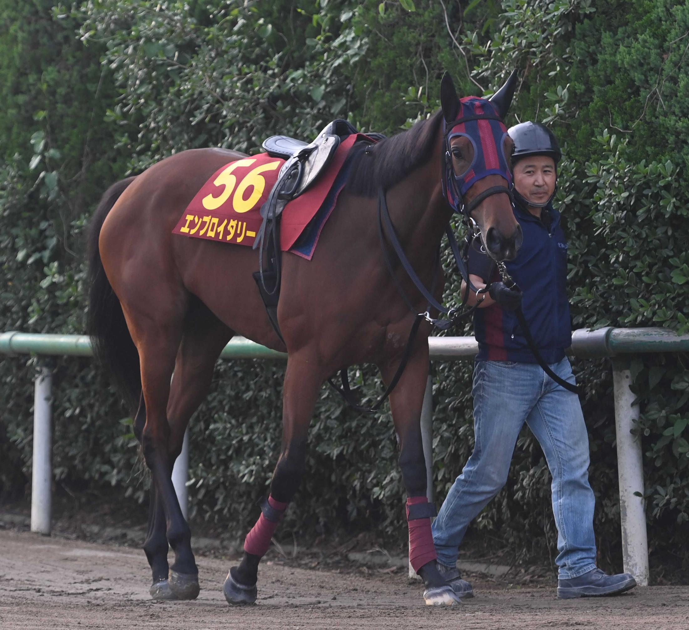 【オークス】森一誠調教師　エンブロイダリーは距離が延びても「能力と完成度でカバーしてくれる」