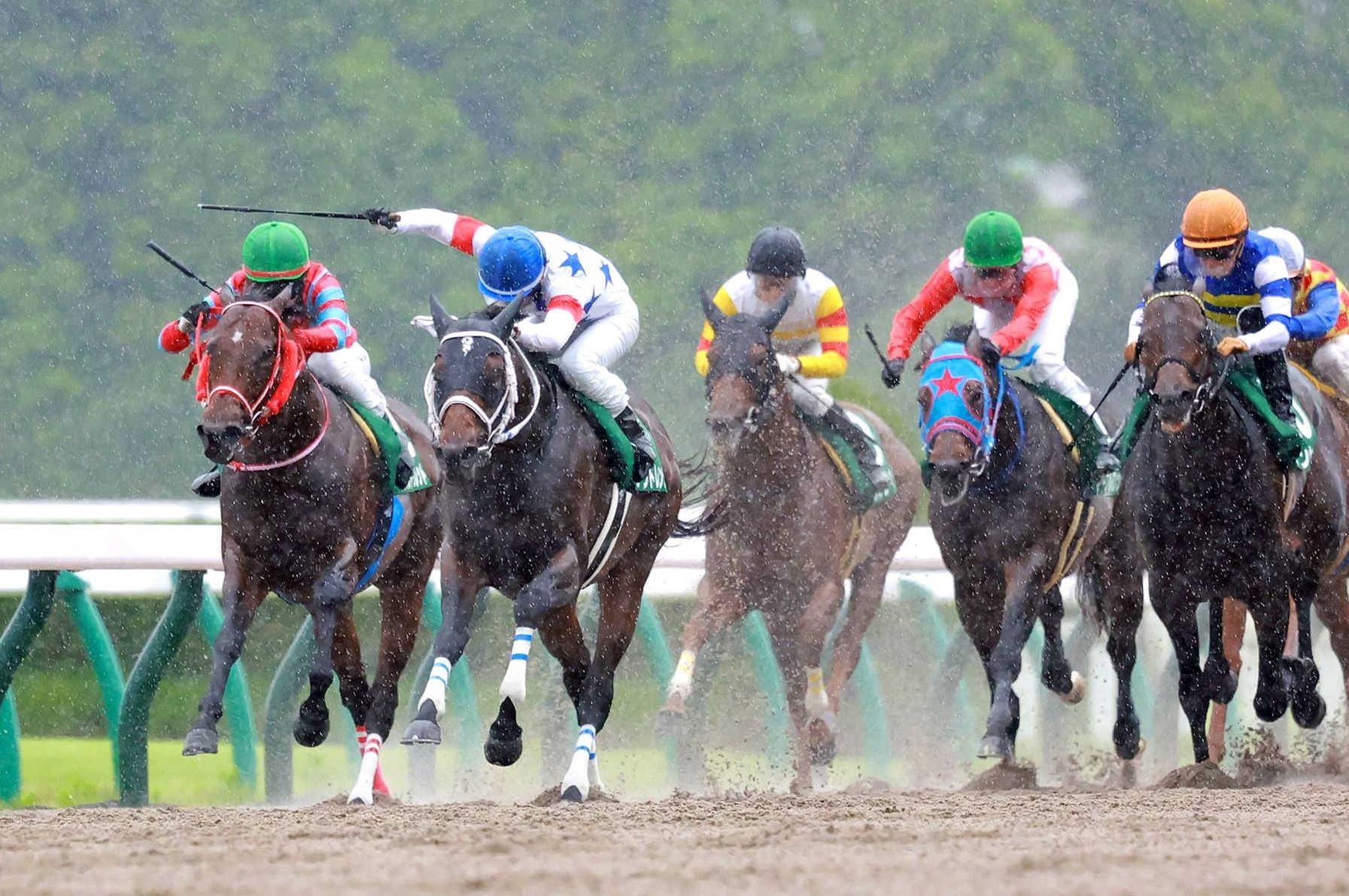 【平安Ｓ】アウトレンジ　まさに横綱相撲！素質馬が再浮上Ｖ　初コンビ松山「上でも楽しみです」飛躍に期待