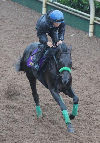 【古馬・注目馬動向】天皇賞・春6着のジャスティンパレスは宝塚記念でG1・2勝目狙う