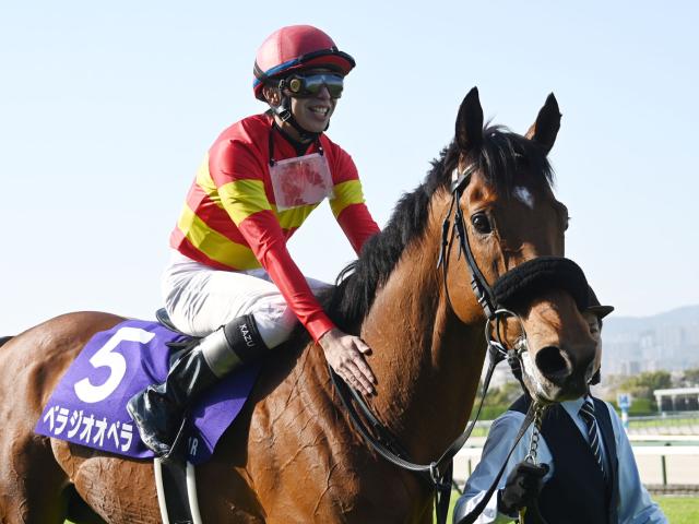 過去の出身馬にベラジオオペラなど 船橋競馬場で26日に千葉サラブレッドセール