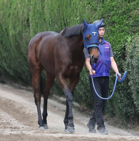 馬トク外厩情報からの推奨馬…オークス・G1