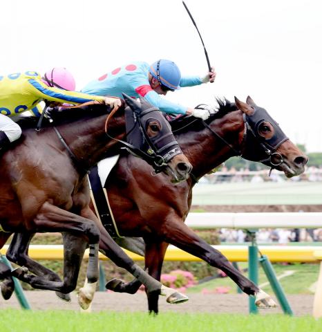 「ほぼ稍重の良やろw」「馬場読みの難しさを痛感」オークス当日の東京競馬は9Rから「良」に変更