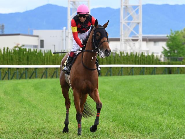 【JRA・WIN5】本日のWIN5は的中166票、配当325万9270円