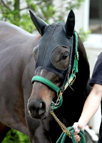 【オークス】2歳女王アルマヴェローチェは桜花賞に続く惜敗2着　カムニャックが優勝