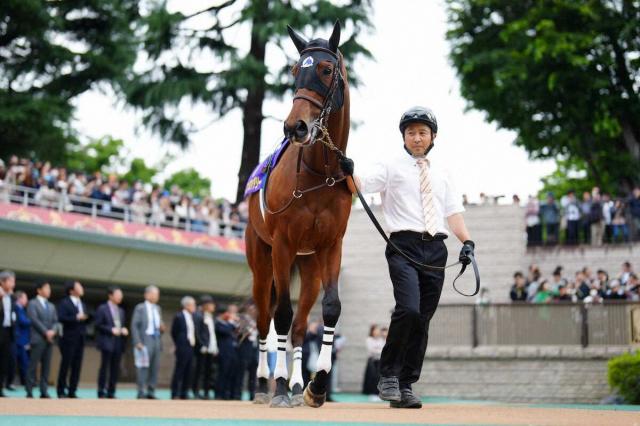【オークス】1番人気エンブロイダリーは直線伸びず9着に沈む　ルメール「短い距離の方がいいかも」