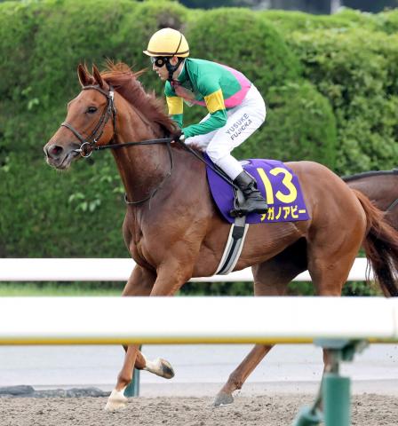 【オークス】10番人気タガノアビーが最後方から追い込み3着　藤岡佑介騎手「勝つ気で乗っていたんですけど」