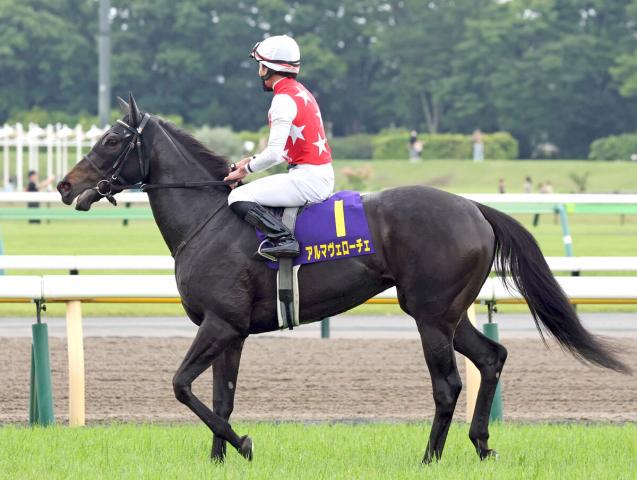 【オークス】2歳女王アルマヴェローチェは頭差及ばず桜花賞に続き2着　岩田望来騎手「秋に巻き返したい」