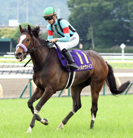 【オークス】最低人気ウィルサヴァイブが6着健闘　団野大成騎手「距離を克服してくれました」