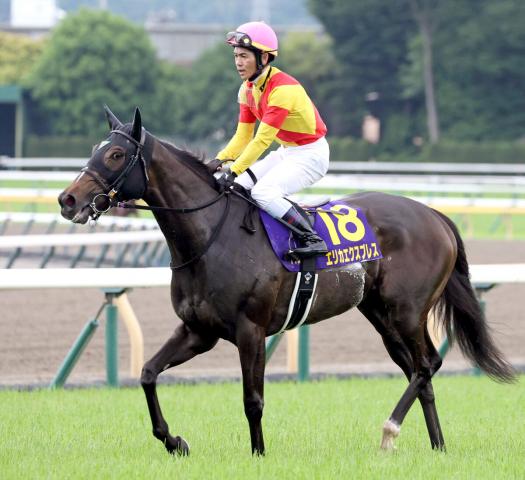 【オークス】桜花賞馬に続いて逃げたエリカエクスプレスは10着　戸崎圭太騎手「いいところは出せたと思います」