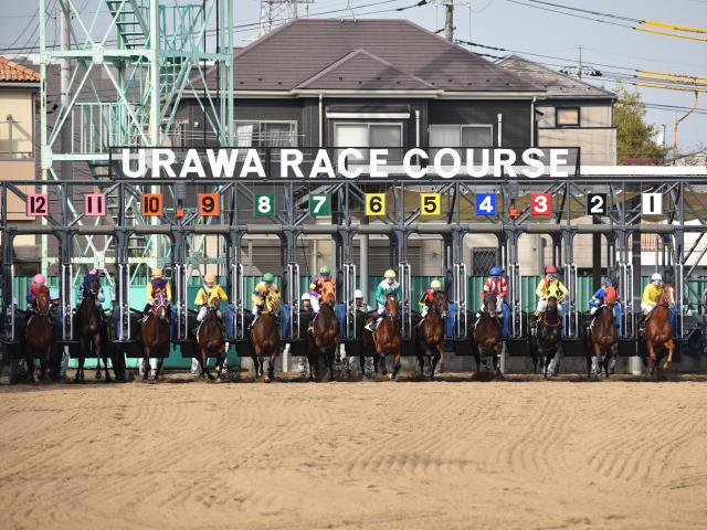 浦和競馬の「2歳新馬戦」に攻略の糸口は？ 種牡馬や厩舎、能試のデータから徹底分析