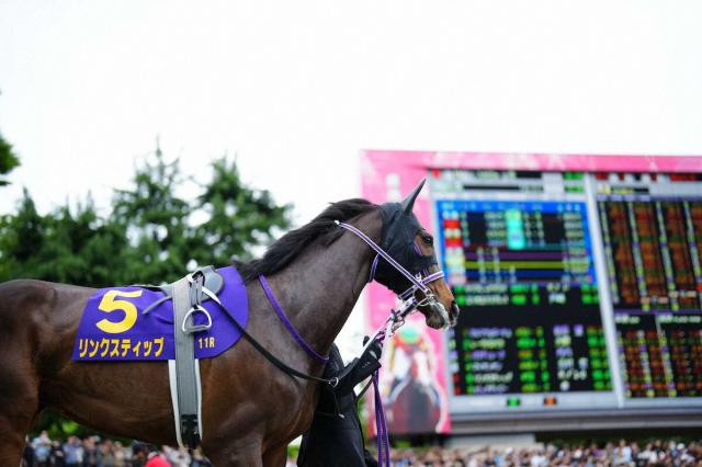 【オークス】3番人気リンクスティップは5着　鞍上・Mデムーロが敗因語る「馬場が合わないことに…」